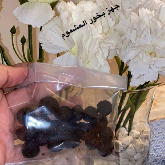 الجيس